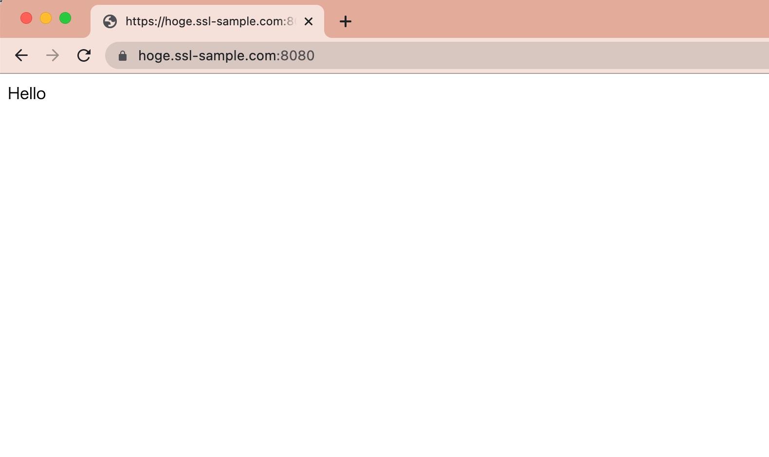 ブラウザからアクセス ssl-sample.com:8080